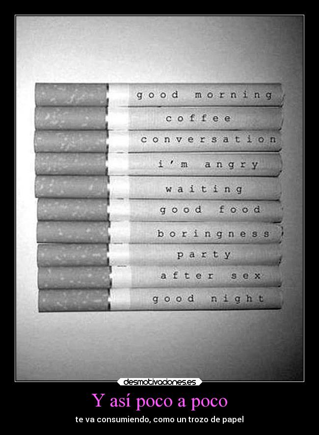 Y así poco a poco - 