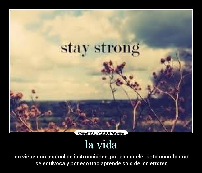 la vida - no viene con manual de instrucciones, por eso duele tanto cuando uno
se equivoca y por eso uno aprende solo de los errores