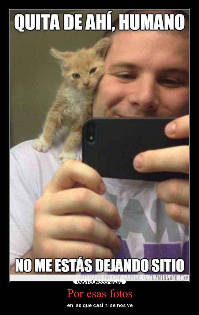 Por esas fotos - en las que casi ni se nos ve