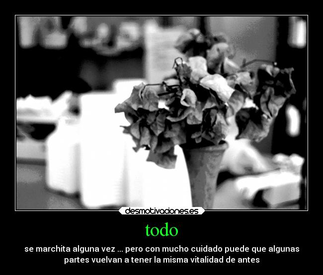 todo -