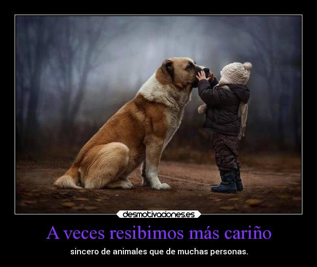 A veces resibimos más cariño -