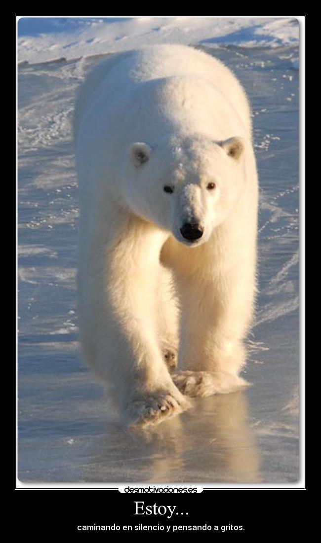 Estoy... - caminando en silencio y pensando a gritos.