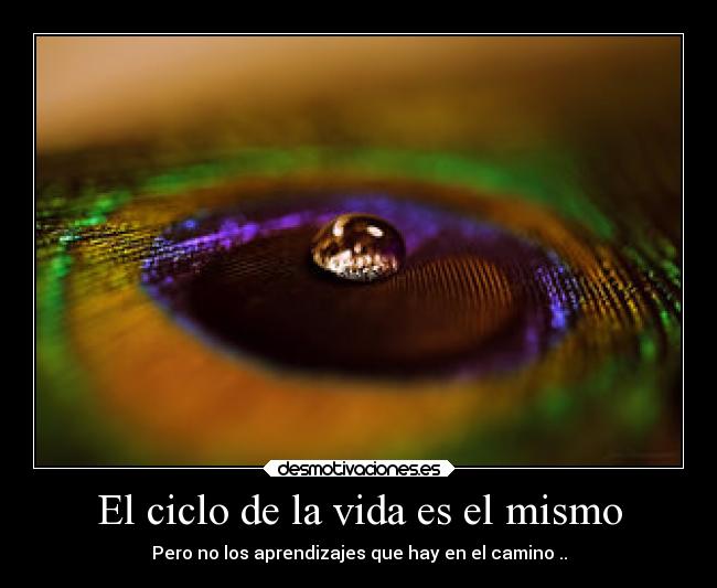 El ciclo de la vida es el mismo - Pero no los aprendizajes que hay en el camino ..