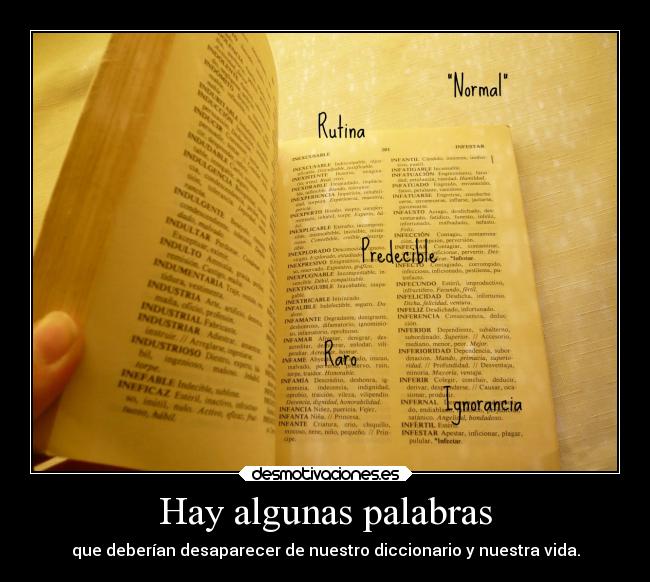 carteles vida diccionario palabras desmotivaciones