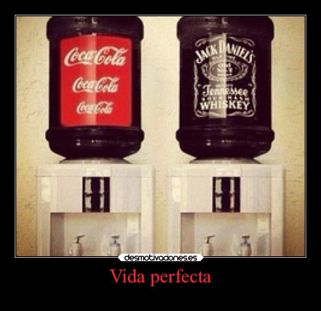 Vida perfecta - 