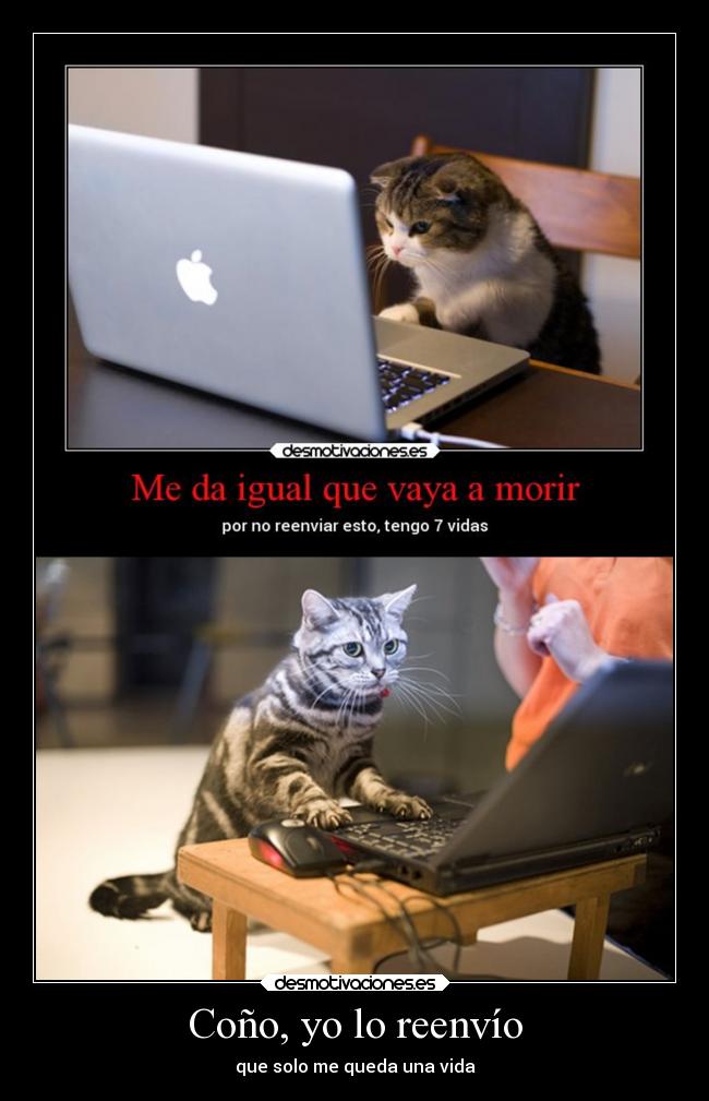 Coño, yo lo reenvío - 