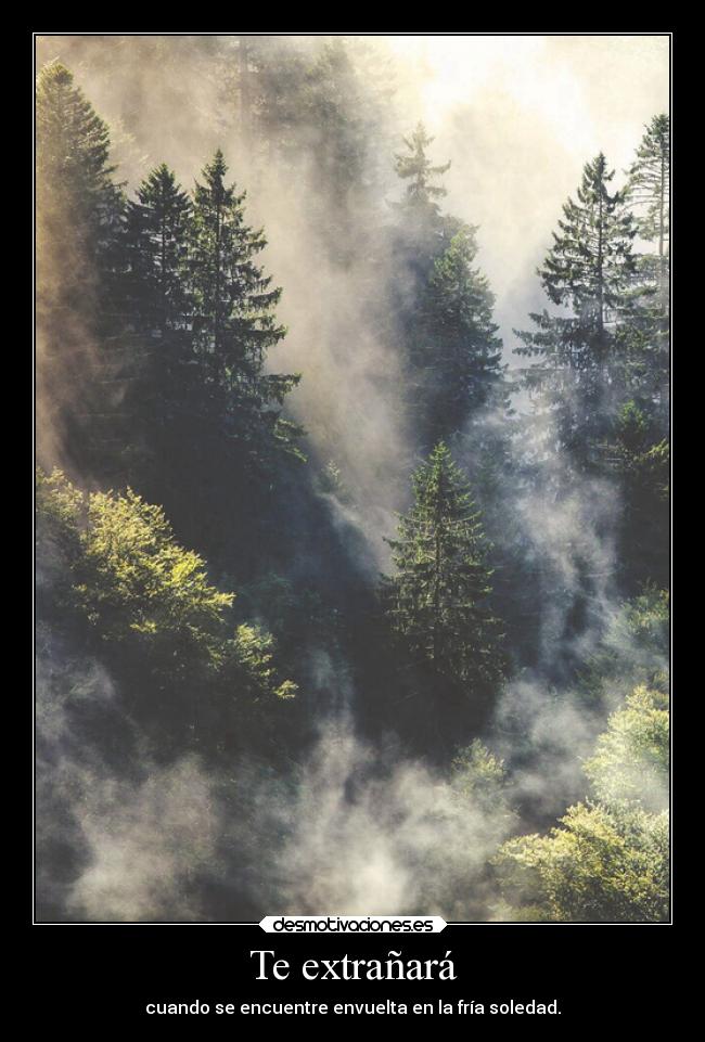 Te extrañará - cuando se encuentre envuelta en la fría soledad.