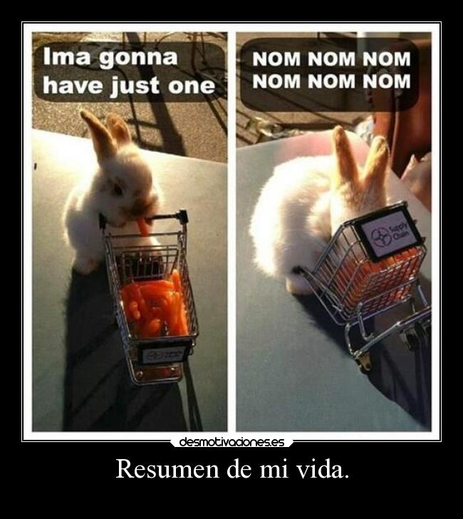 Resumen de mi vida. -