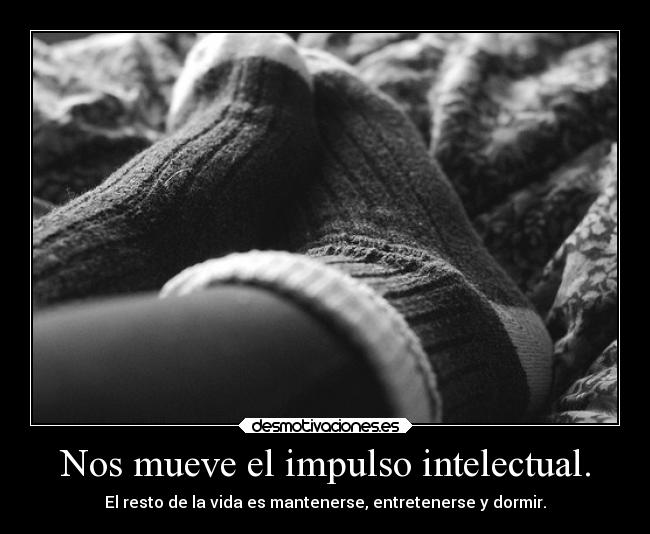 Nos mueve el impulso intelectual. - 