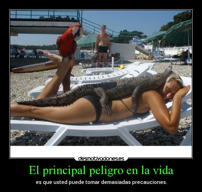 El principal peligro en la vida -