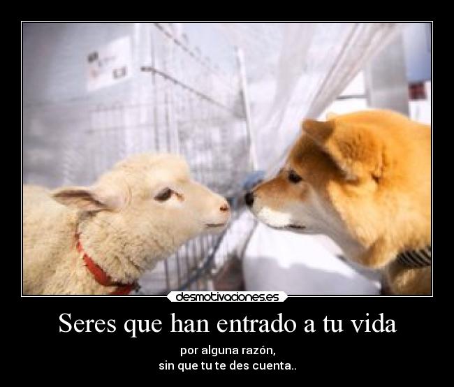 Seres que han entrado a tu vida -