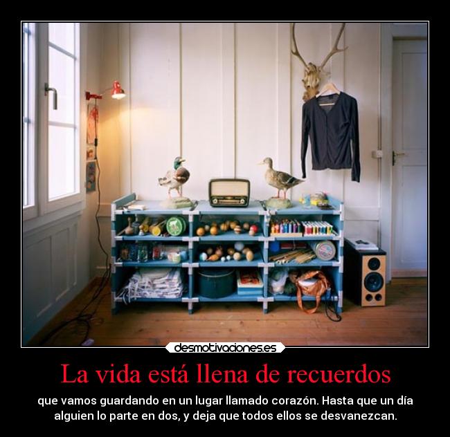 carteles vida recuerdos odio alma duele pero sigo esto que hay desmotivaciones