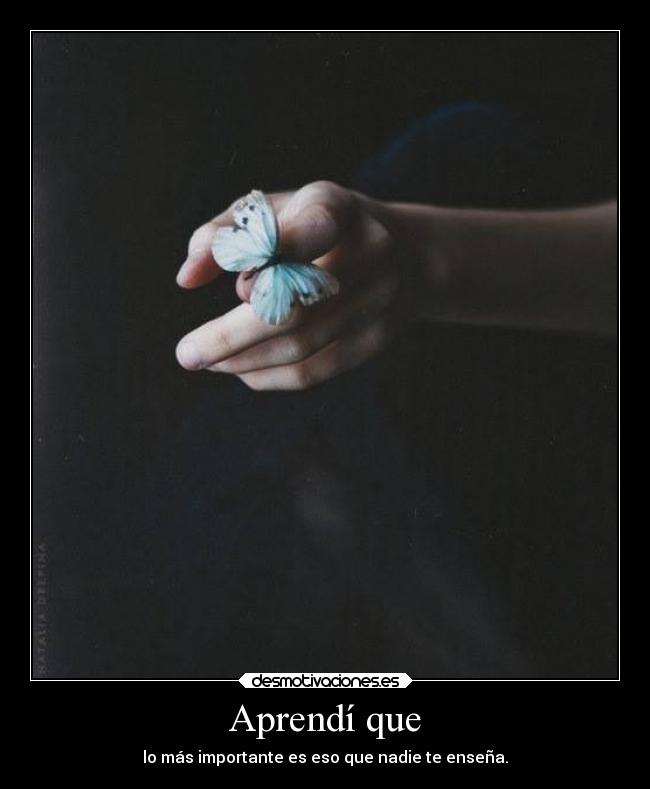 Aprendí que - lo más importante es eso que nadie te enseña.