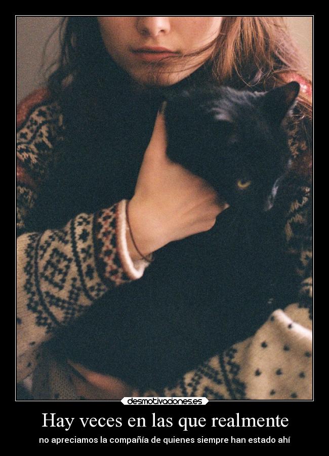 Hay veces en las que realmente - no apreciamos la compañía de quienes siempre han estado ahí