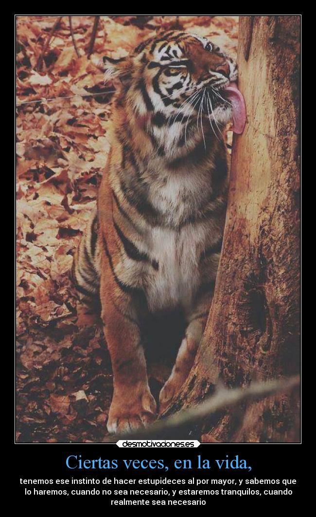 carteles vida verano desmotivaciones