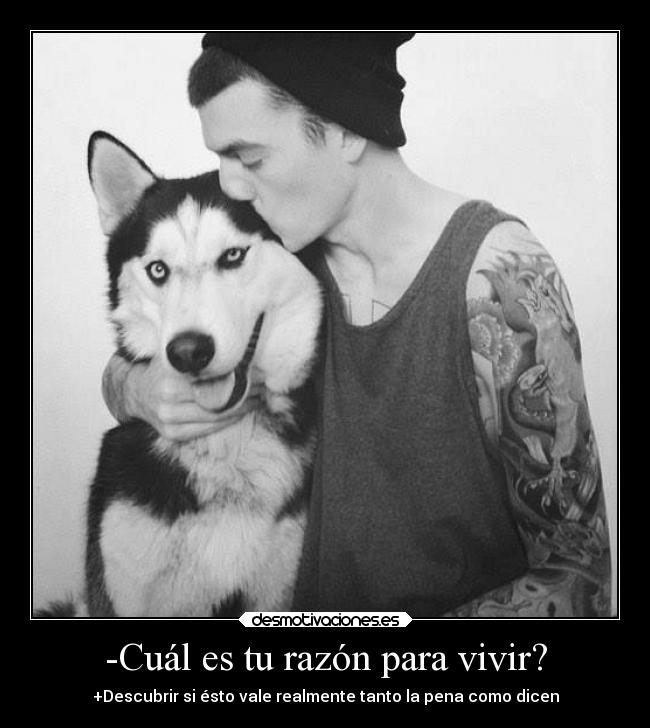 -Cuál es tu razón para vivir? - +Descubrir si ésto vale realmente tanto la pena como dicen