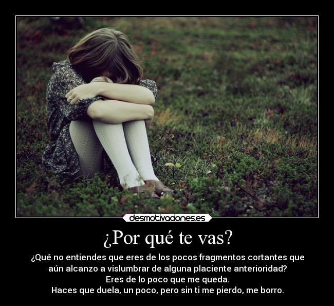 ¿Por qué te vas? - ¿Qué no entiendes que eres de los pocos fragmentos cortantes que
aún alcanzo a vislumbrar de alguna placiente anterioridad?
Eres de lo poco que me queda.
Haces que duela, un poco, pero sin ti me pierdo, me borro.