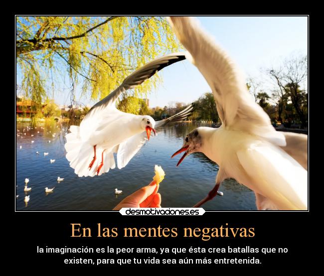 En las mentes negativas - 