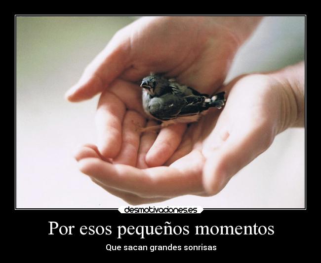 Por esos pequeños momentos -