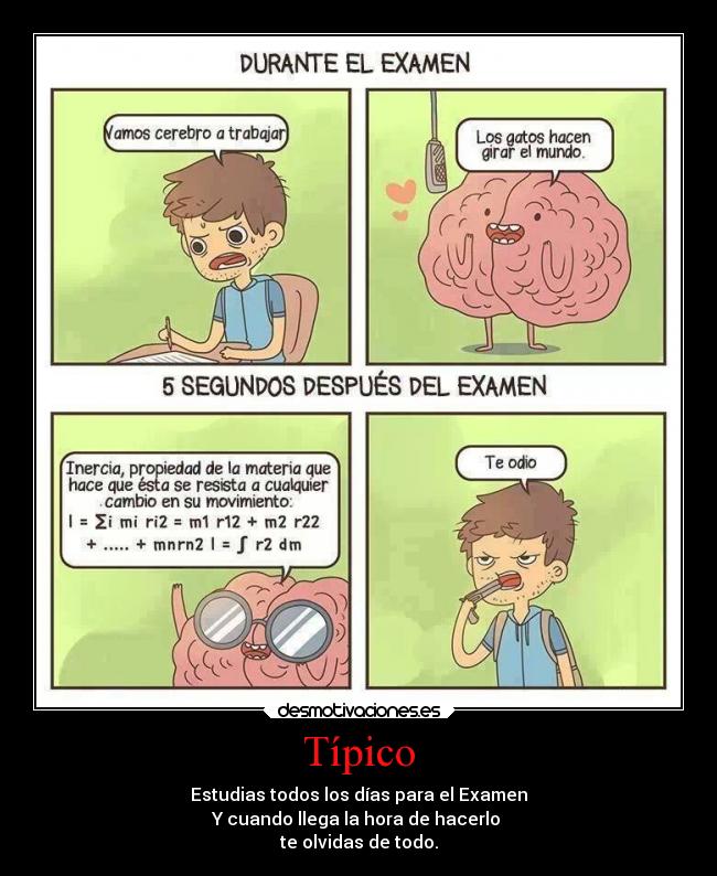 Típico - Estudias todos los días para el Examen
Y cuando llega la hora de hacerlo
te olvidas de todo.