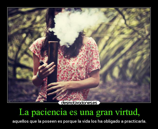 La paciencia es una gran virtud, -
