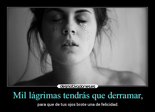 carteles alegria telyg ejercitodemar desmotivaciones