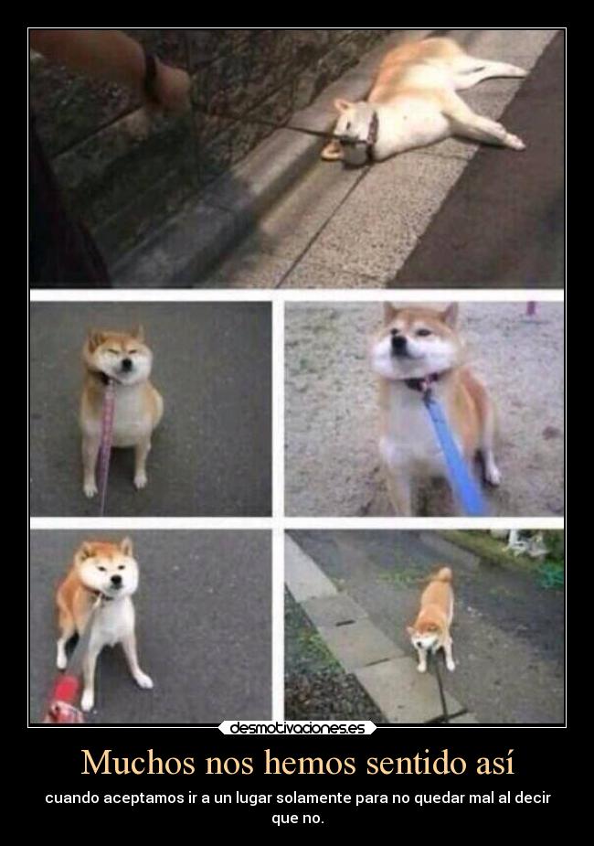 Muchos nos hemos sentido así -