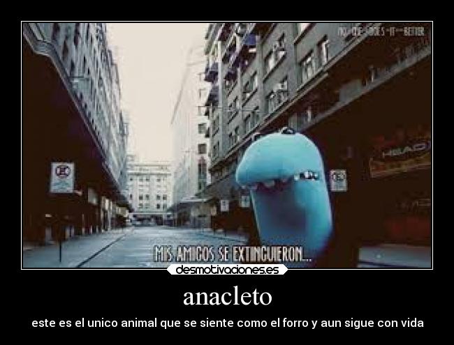 anacleto - este es el unico animal que se siente como el forro y aun sigue con vida