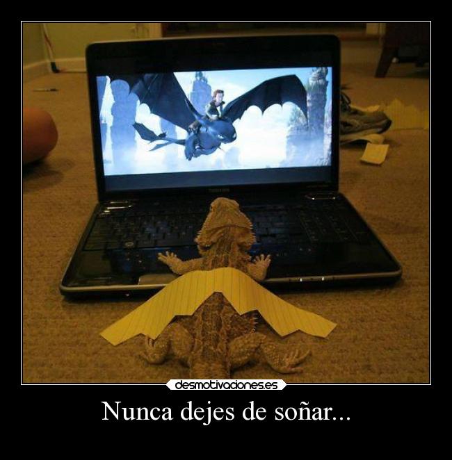 Nunca dejes de soñar... -