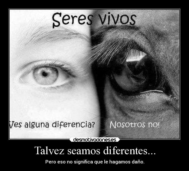 Talvez seamos diferentes... -