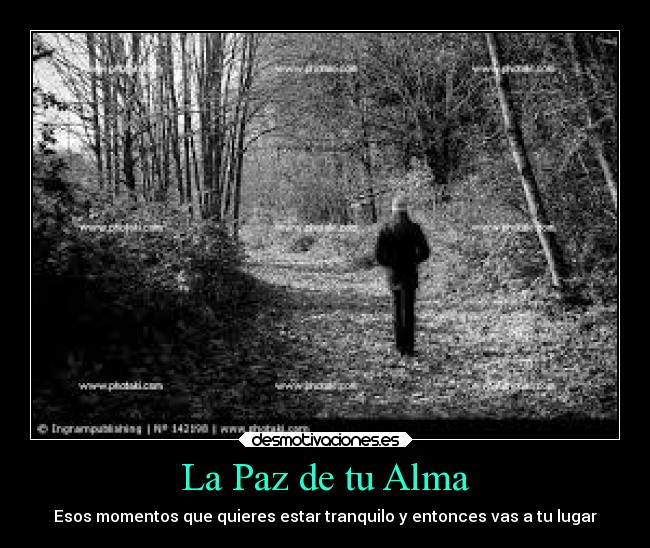La Paz de tu Alma - Esos momentos que quieres estar tranquilo y entonces vas a tu lugar