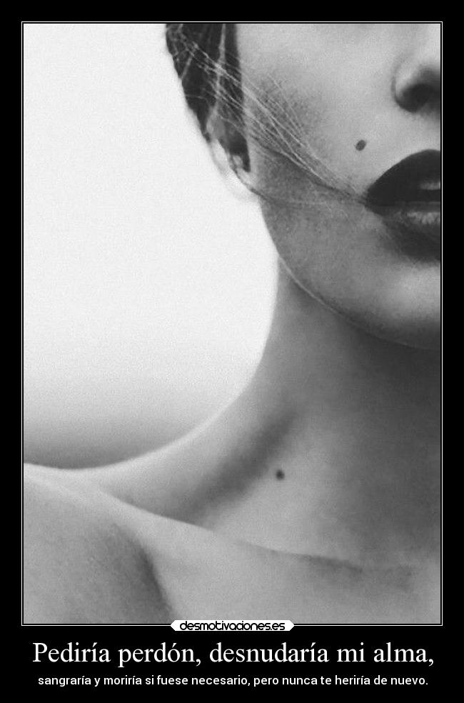 Pediría perdón, desnudaría mi alma, - 