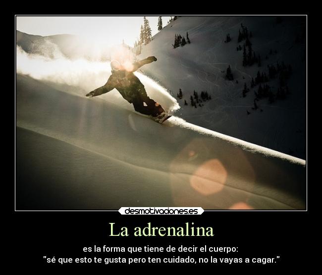 La adrenalina - es la forma que tiene de decir el cuerpo: 
sé que esto te gusta pero ten cuidado, no la vayas a cagar.