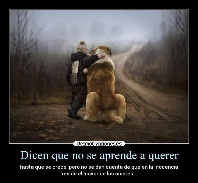 carteles alma unacuerdamasqueseescapadelmanicomio ejercitodemar soyuncereal unputoteletubbie desmotivaciones