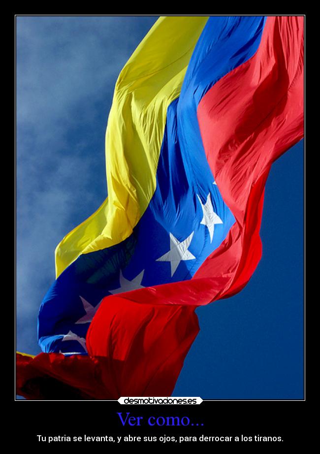 carteles alma venezuela desmotivaciones