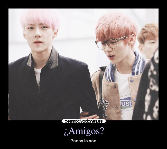 ¿Amigos? -