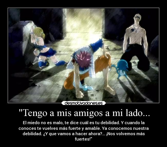 carteles amigos amistad fairy tail natsu lucy erza gray happy desmotivaciones