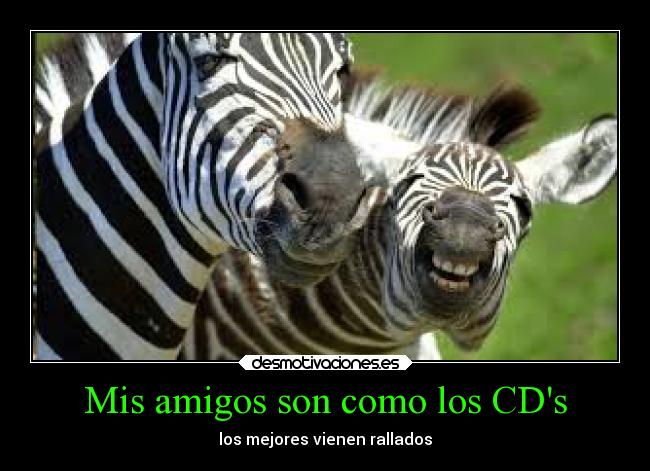 Mis amigos son como los CDs - 