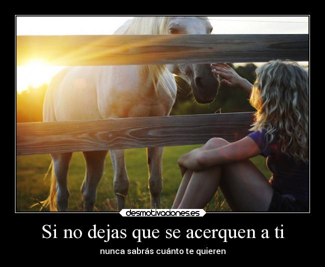 carteles amigos amistad amor ayuda confianza desmotivaciones