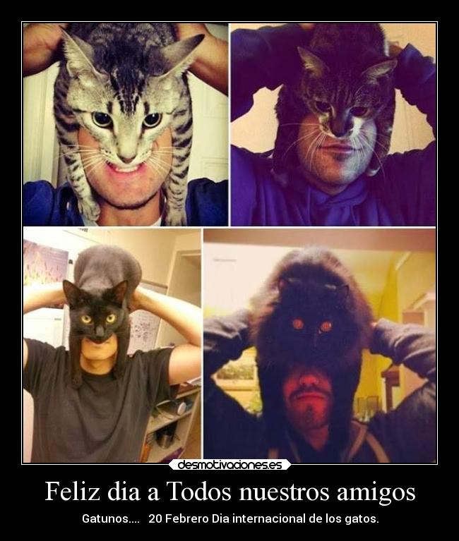 Feliz dia a Todos nuestros amigos - Gatunos....♥ 20 Febrero Dia internacional de los gatos.