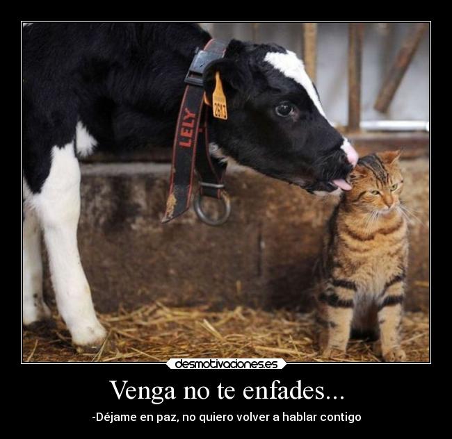 Venga no te enfades... -