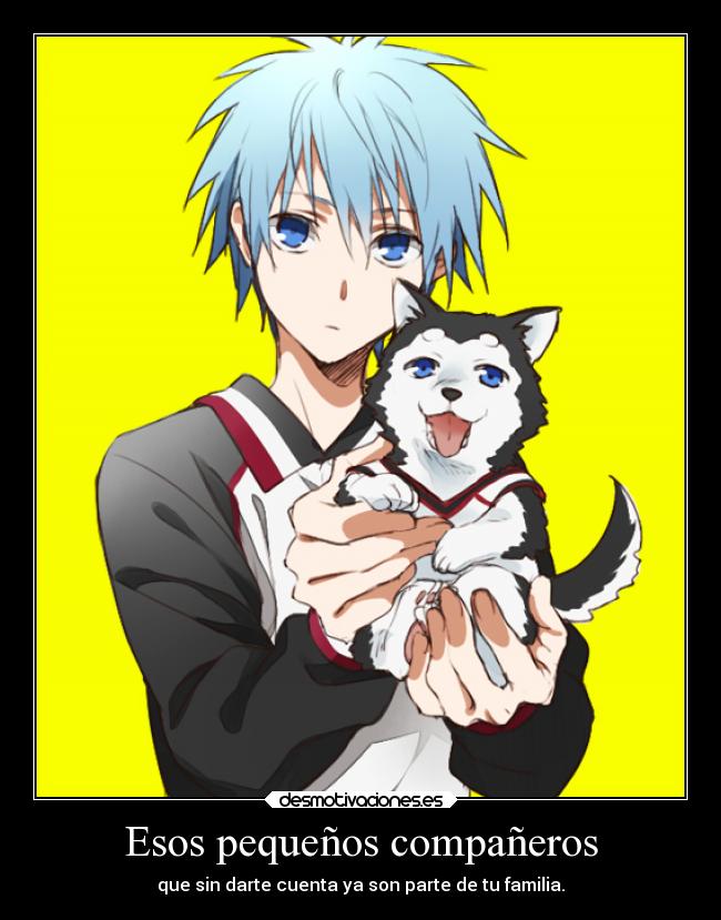 Esos pequeños compañeros -