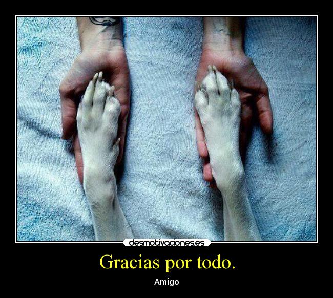 Gracias por todo. - Amigo