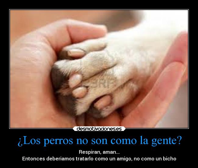 ¿Los perros no son como la gente? - Respiran, aman...
Entonces deberiamos tratarlo como un amigo, no como un bicho