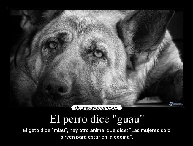 El perro dice guau - El gato dice miau, hay otro animal que dice: Las mujeres solo
sirven para estar en la cocina.