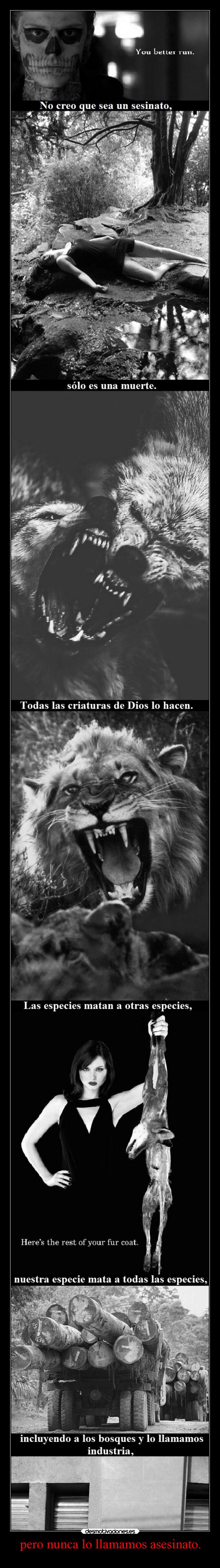 pero nunca lo llamamos asesinato. - 