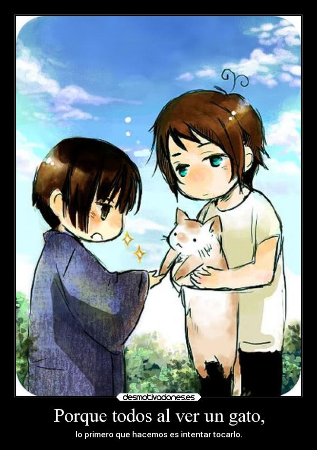 Porque todos al ver un gato, - lo primero que hacemos es intentar tocarlo.