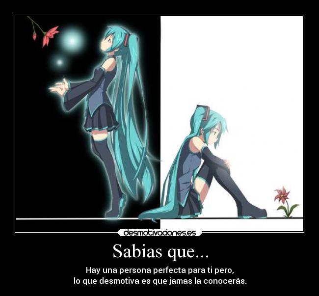 Sabias que... - 