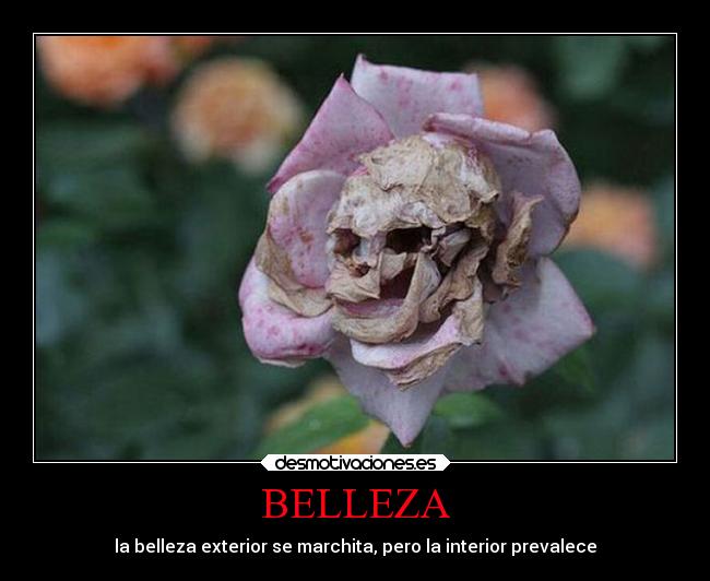 BELLEZA - 