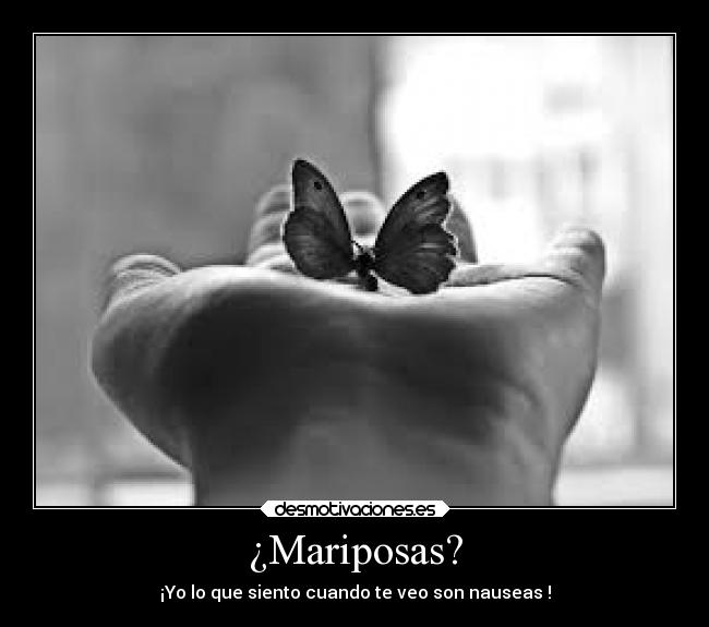 ¿Mariposas? - ¡Yo lo que siento cuando te veo son nauseas !